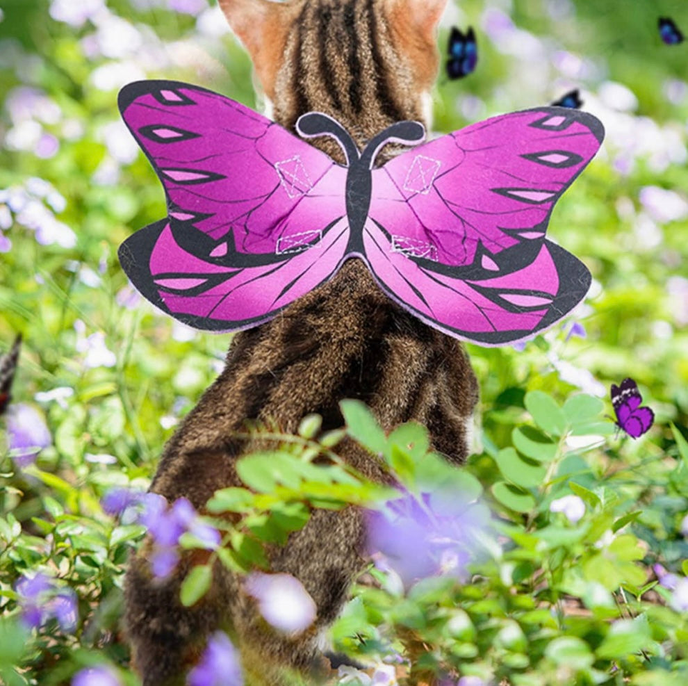 Halloween Costume cat Butterflies Wing Halloween Dog Clothes pet Halloween Apparel Cute Dog Outfit Role Play Outfits pet Dress up Wing Christmas pet Outfit Purple Felt Cloth