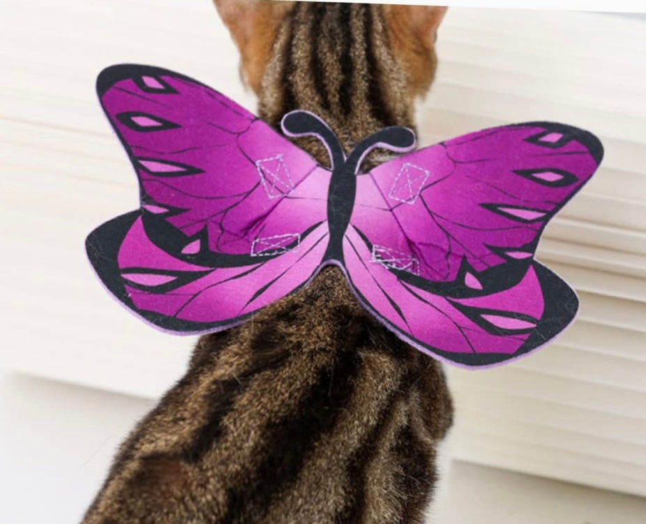 Halloween Costume cat Butterflies Wing Halloween Dog Clothes pet Halloween Apparel Cute Dog Outfit Role Play Outfits pet Dress up Wing Christmas pet Outfit Purple Felt Cloth