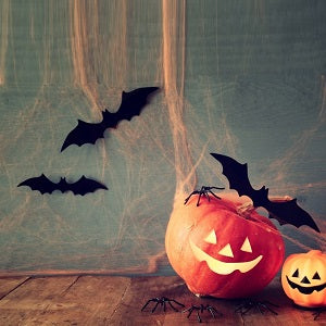 72 PCS Halloween 3D Bats Decoration, DIY Scary Wall Bats Wall Decal Wall Stickers 4 Different Sizes Halloween Party Decoration Supplies