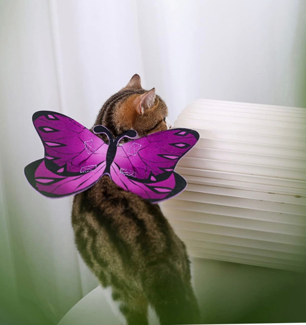 Halloween Costume cat Butterflies Wing Halloween Dog Clothes pet Halloween Apparel Cute Dog Outfit Role Play Outfits pet Dress up Wing Christmas pet Outfit Purple Felt Cloth