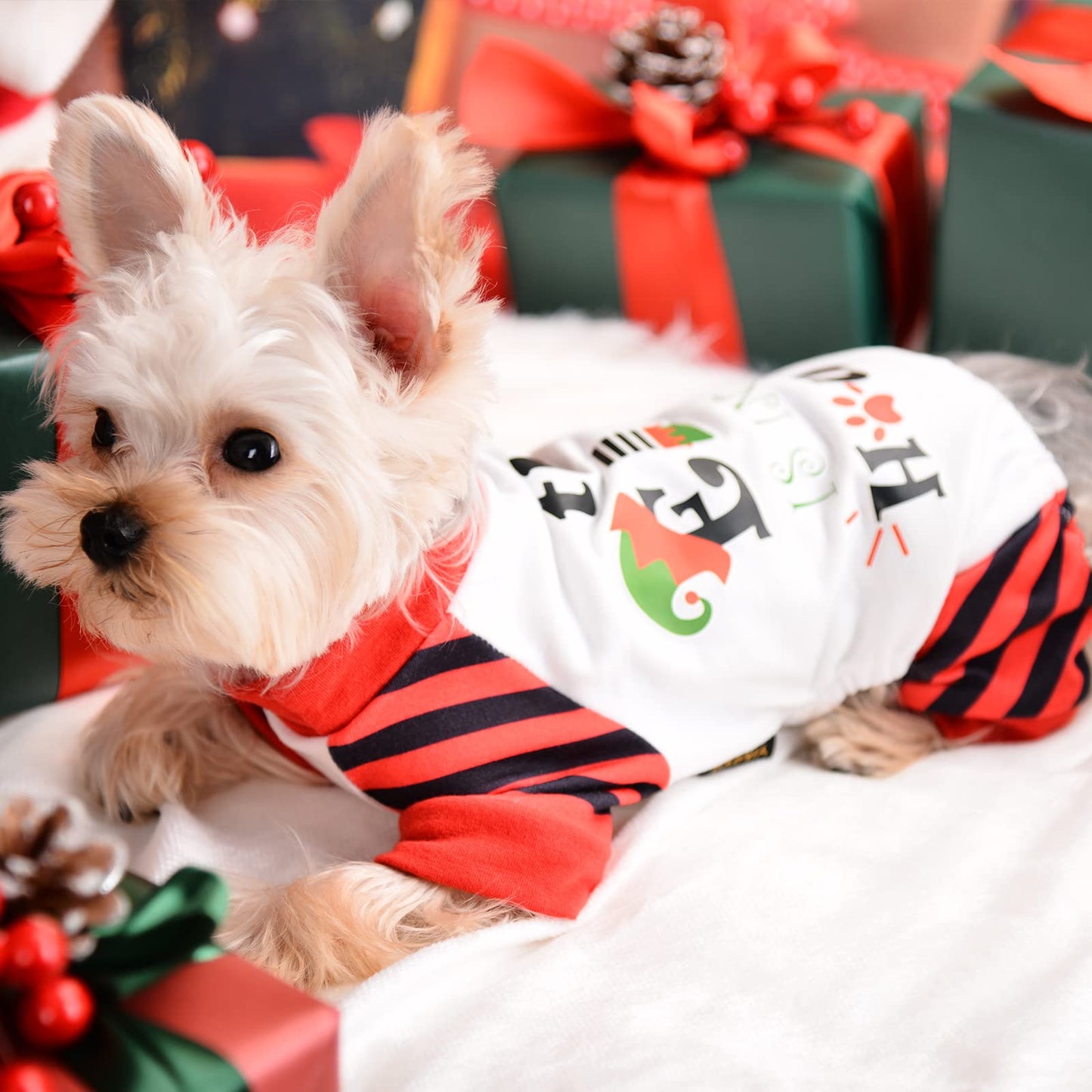 Dog Christmas Pajamas - Dog Christmas Outfit Dog Onesie Dog Pjs Clothes for Small Dog Girl Boy, (X-Small, The Elf Is In The House), The Elf is in the House, X-Small